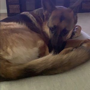 Meet your Posher, Megan